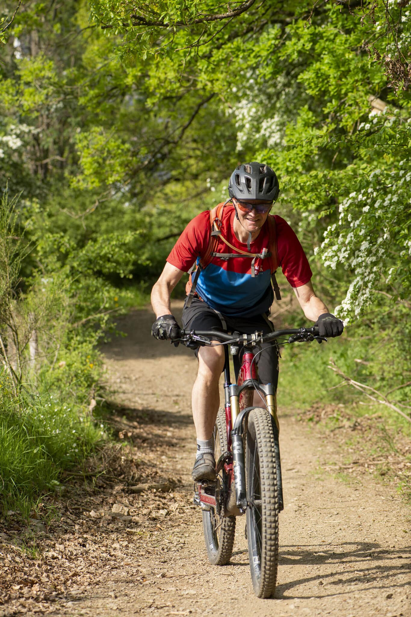 https://www.vojomag.nl/app/uploads/2025/05/Parcours VTT cantons est Our Dany 2 1366x2048.jpg