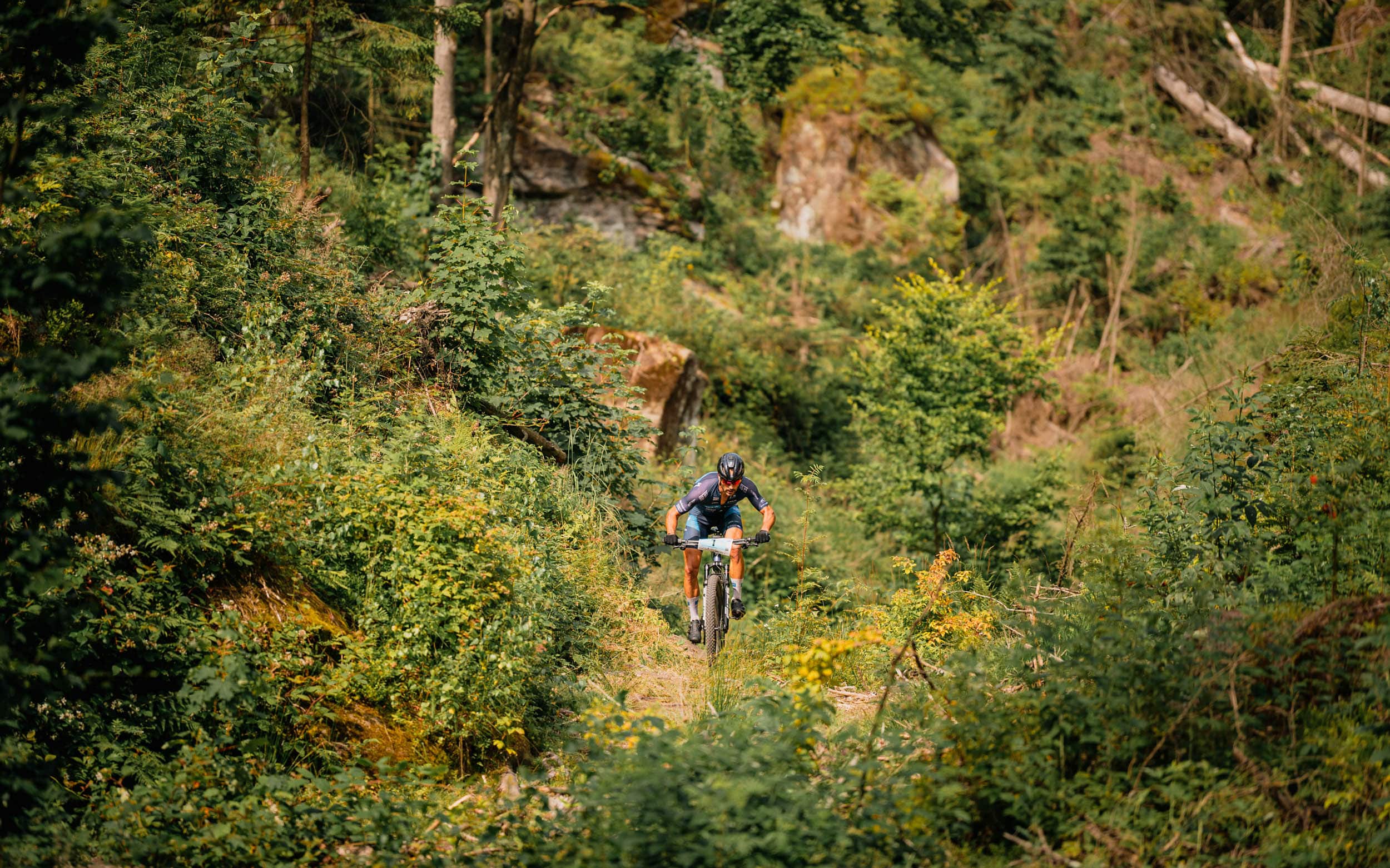Foto copyright MTB Trilogy / Jan Brychta