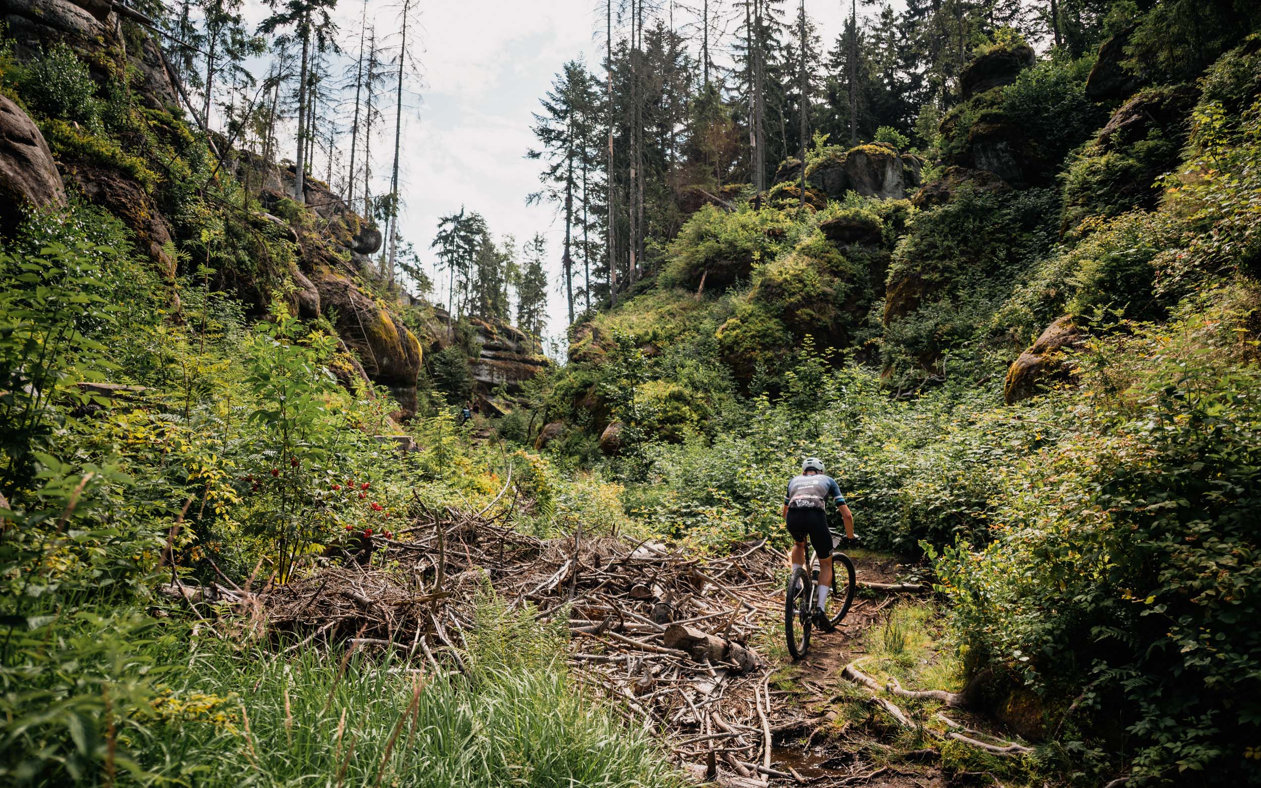 Foto copyright MTB Trilogy / Jan Brychta