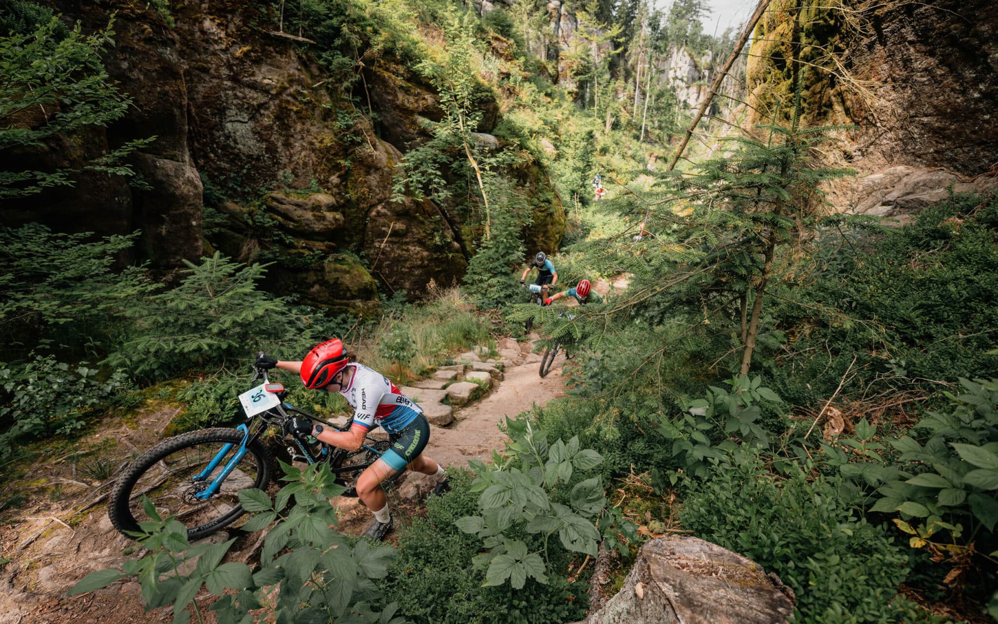 MTB Trilogy 2025: even prachtig als bruut