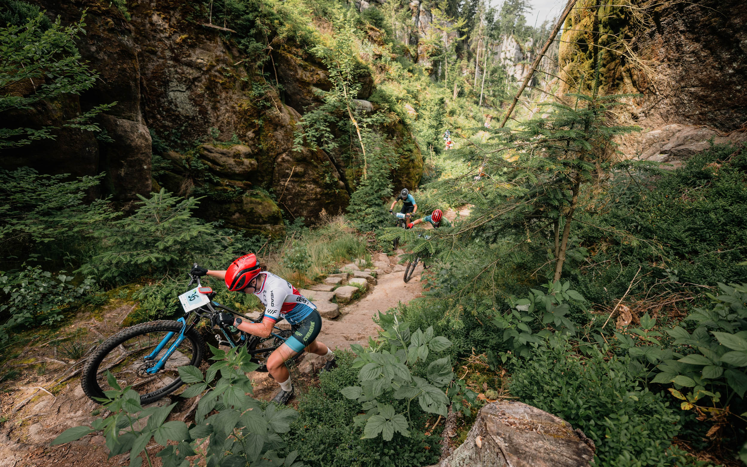 MTB Trilogy 2025: even prachtig als bruut