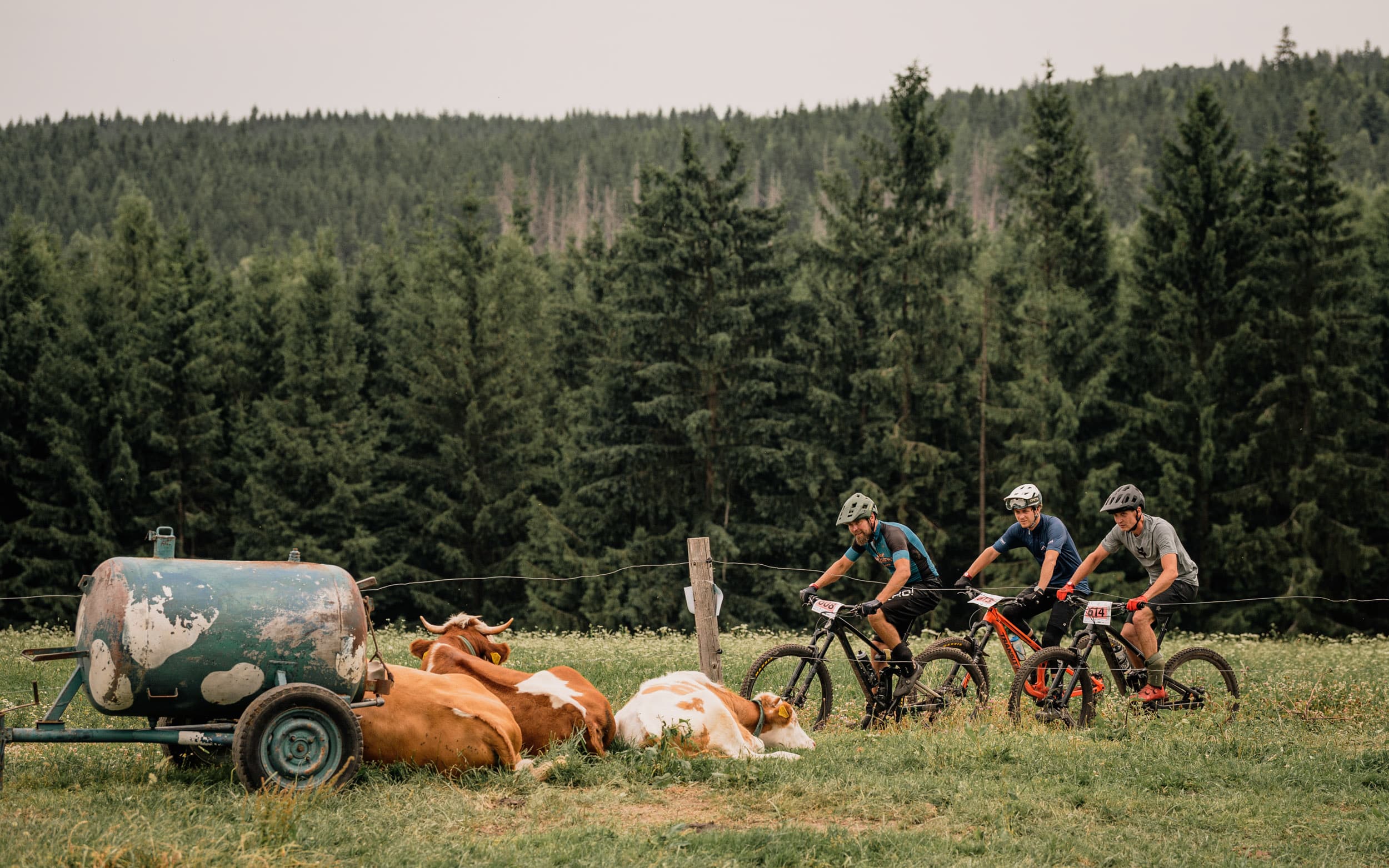 Foto copyright MTB Trilogy / Jan Brychta