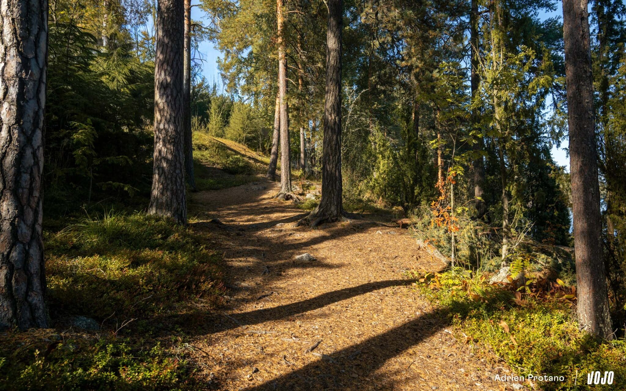 https://www.vojomag.nl/app/uploads/2025/09/Nordic Gravel Series Lathi Falling Leaves Gravel test avis comparaison Vojo nouveaute La Cluzaz A.Protano 1 2 2048x1280.jpg