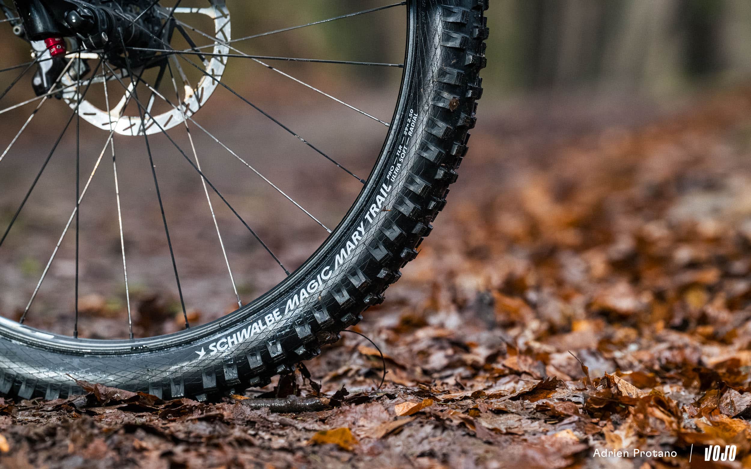 Test | Schwalbe Albert- & Magic Mary-radiaalbanden: de geruststellende combinatie