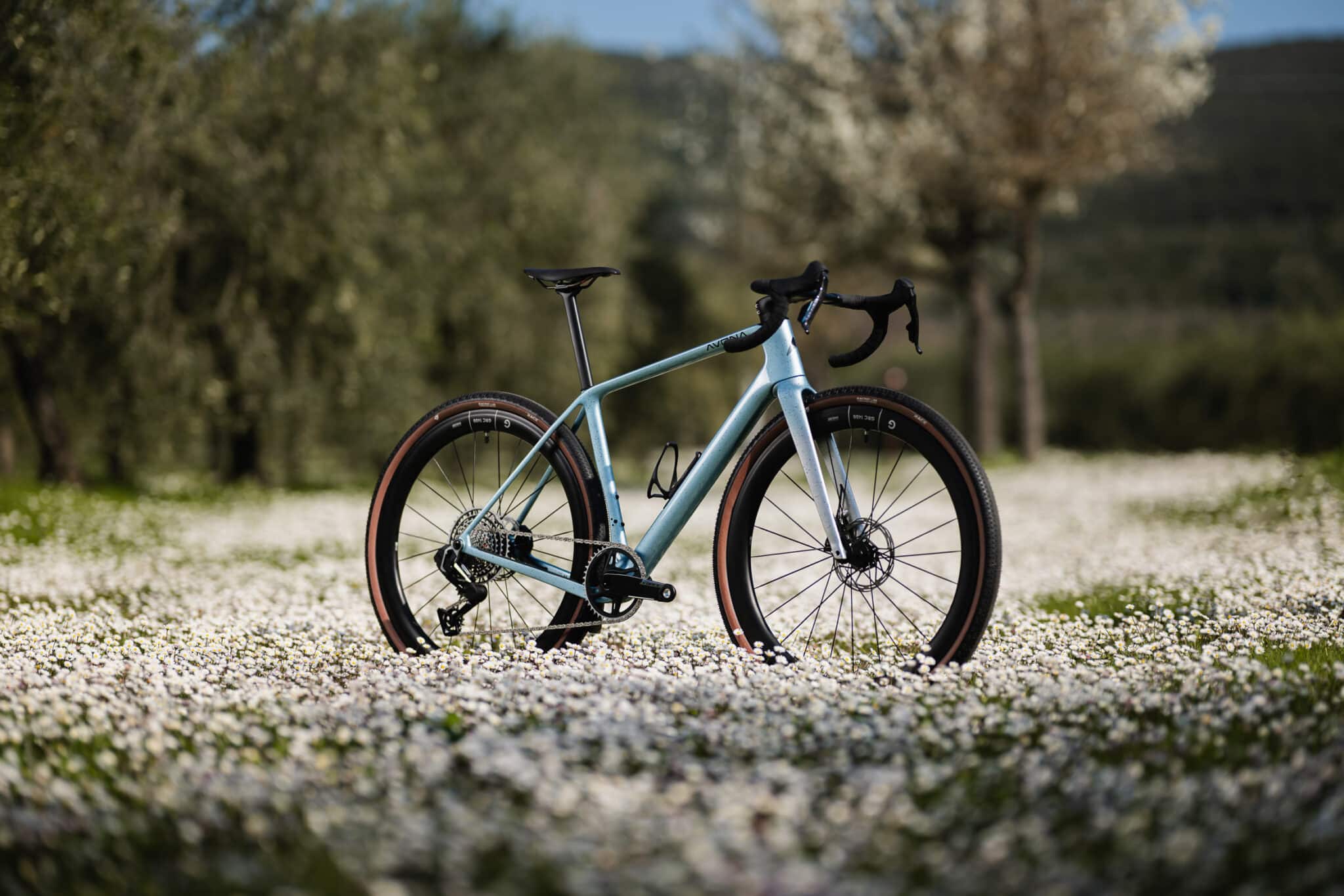Test nieuw | Gravel Avona Callis: de maat van alle dingen